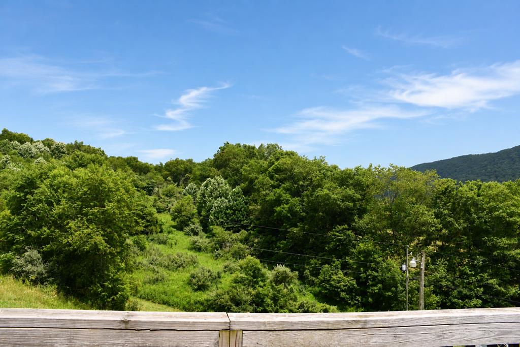 201 Zenith Property Photo 22