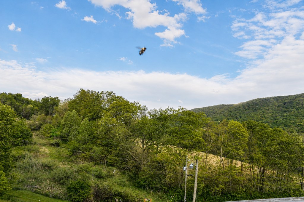 201 Zenith Property Photo 47