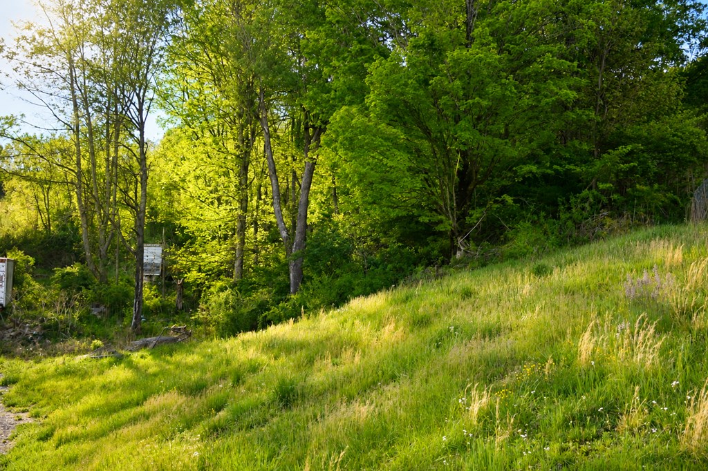 201 Zenith Property Photo 48
