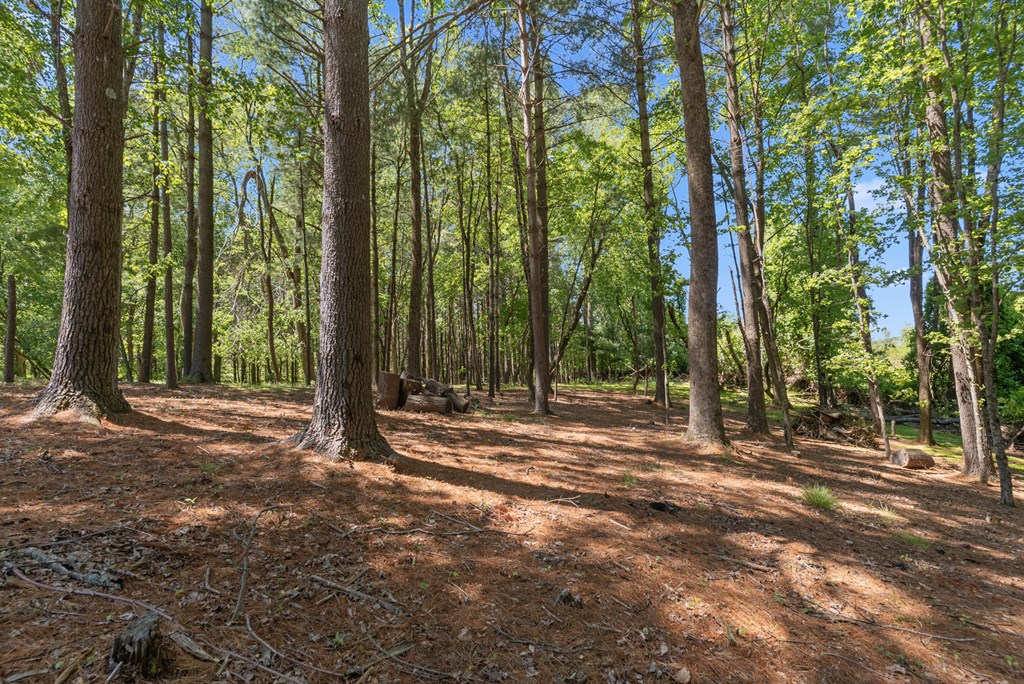 154 Folger Road Property Photo 29