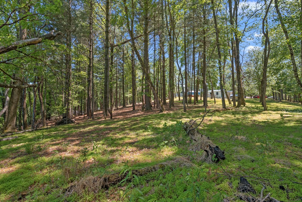 154 Folger Road Property Photo 31