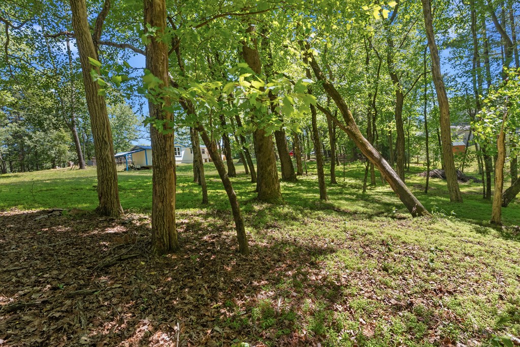 154 Folger Road Property Photo 33