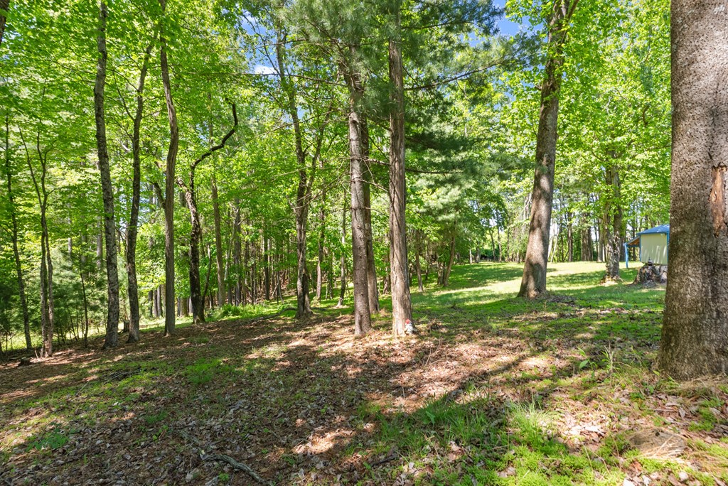 154 Folger Road Property Photo 34