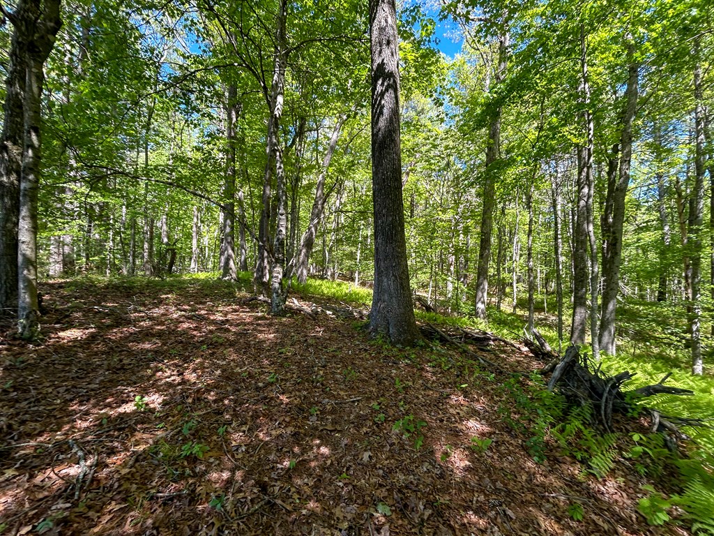 5928 Floyd Highway North Property Photo 71