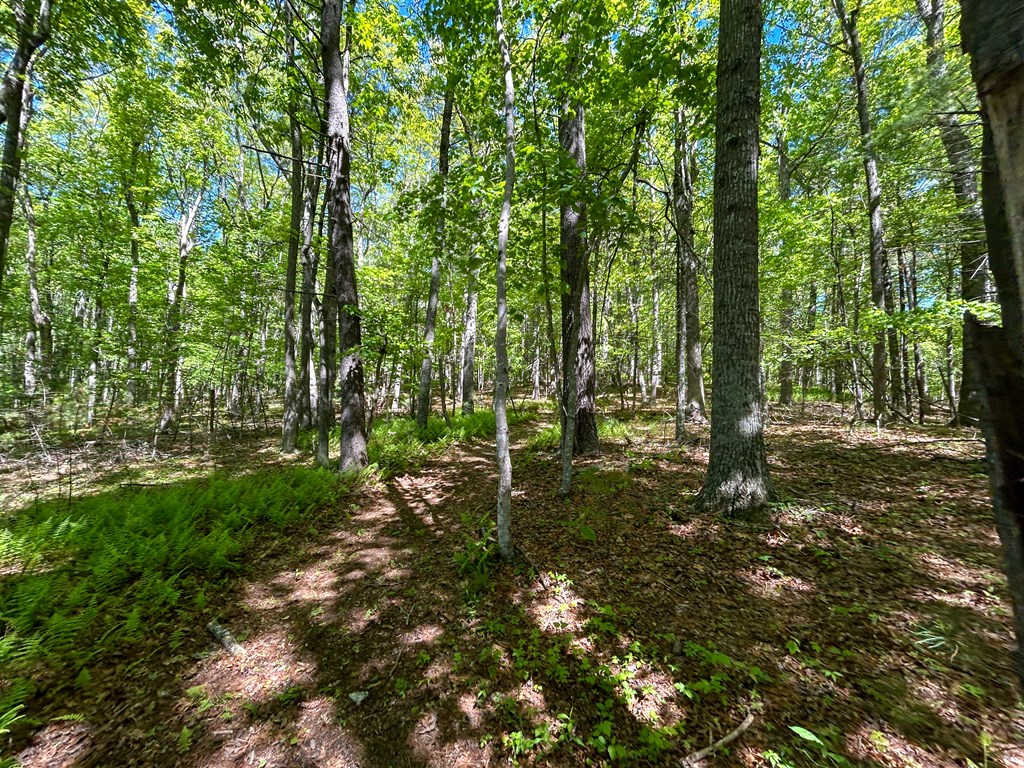 5928 Floyd Highway North Property Photo 72