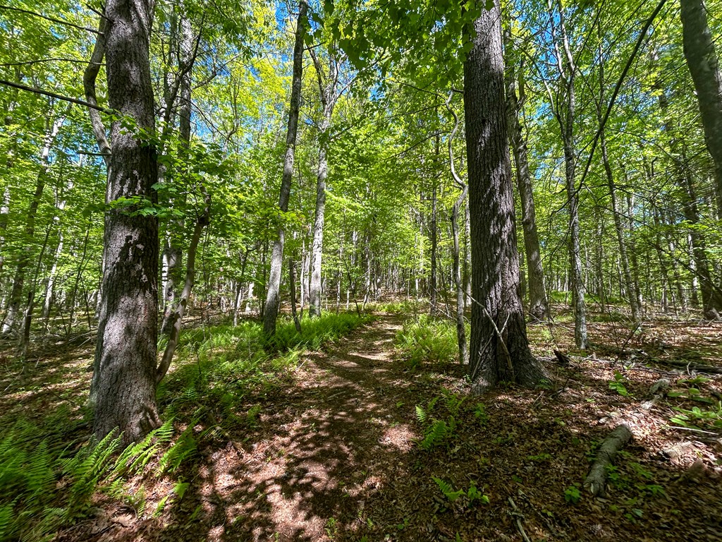 5928 Floyd Highway North Property Photo 73