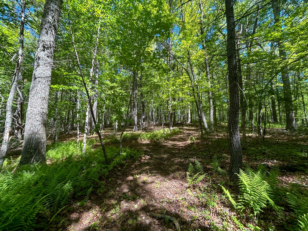 5928 Floyd Highway North Property Photo 74