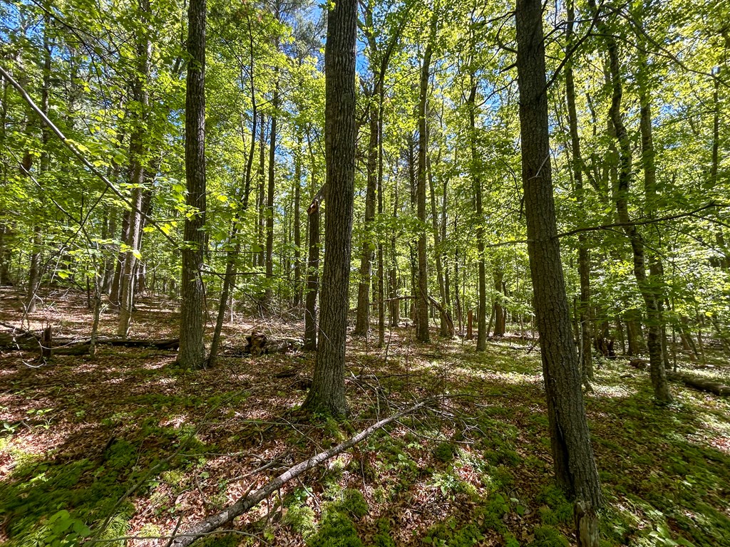 5928 Floyd Highway North Property Photo 75