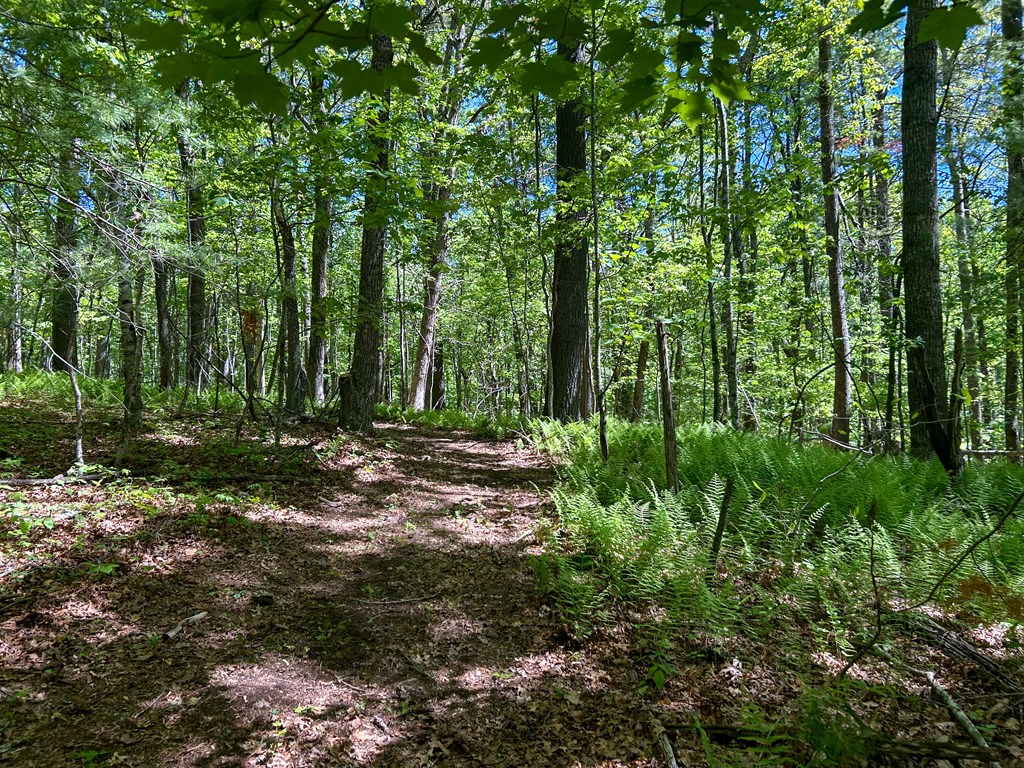 5928 Floyd Highway North Property Photo 77
