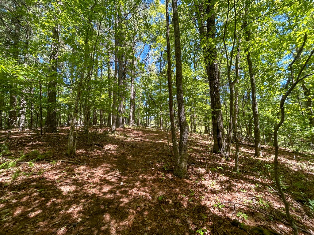 5928 Floyd Highway North Property Photo 80