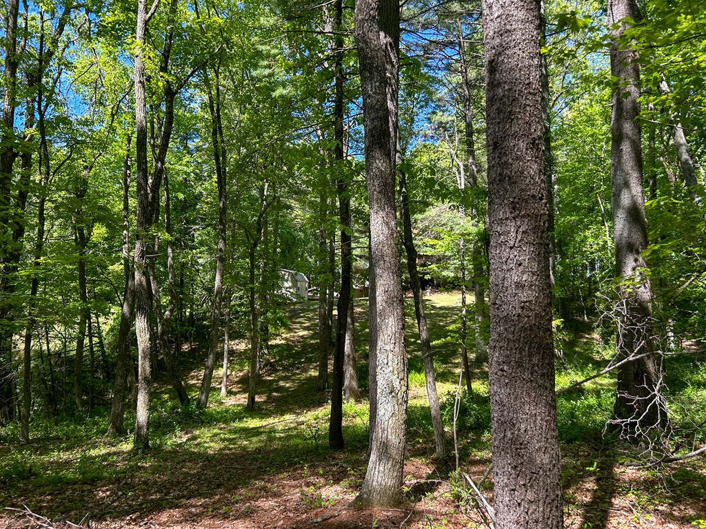 5928 Floyd Highway North Property Photo 81