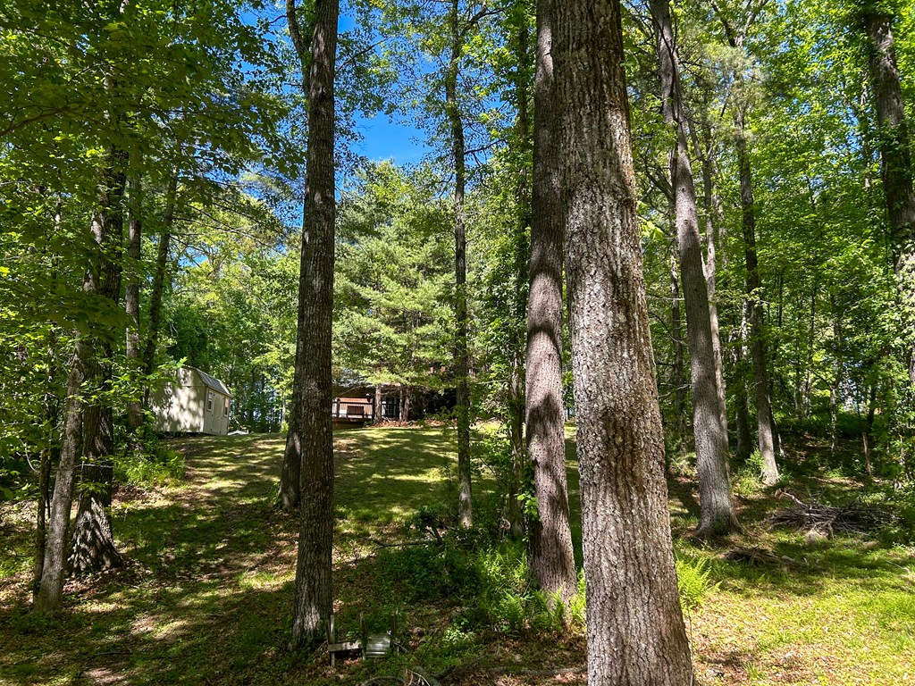 5928 Floyd Highway North Property Photo 82