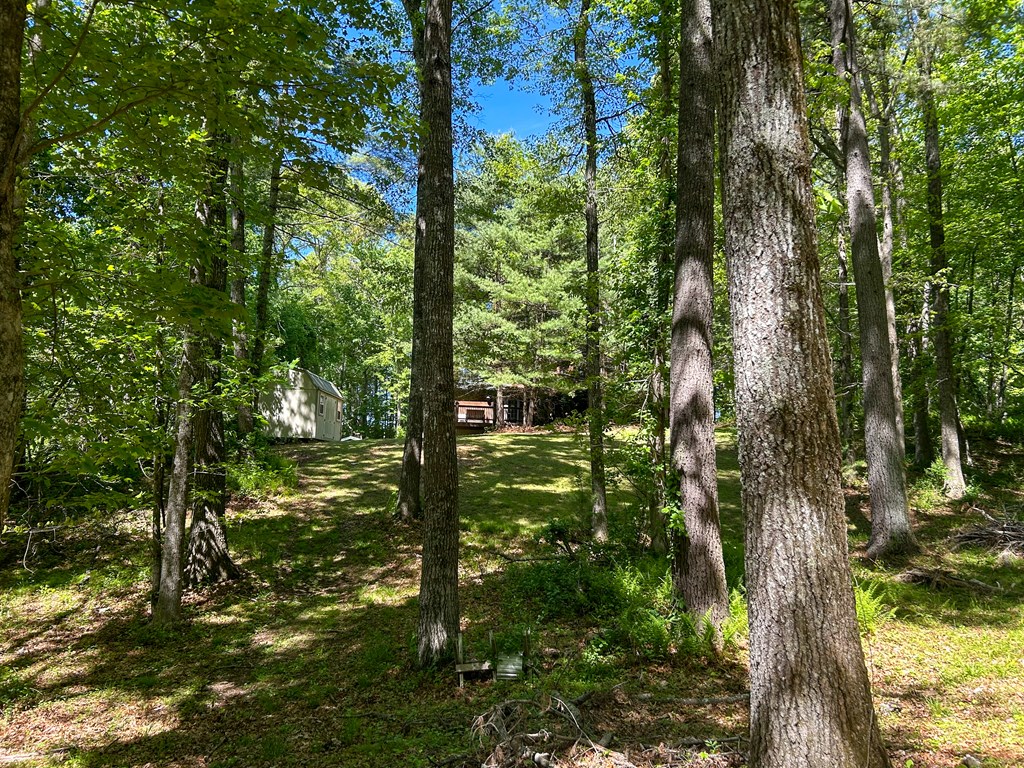 5928 Floyd Highway North Property Photo 83