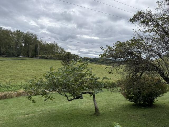 20420 Out Of Bounds Drive Property Photo 26