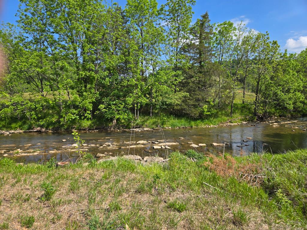 Tbd Big Cedar Creek Road Property Photo 1