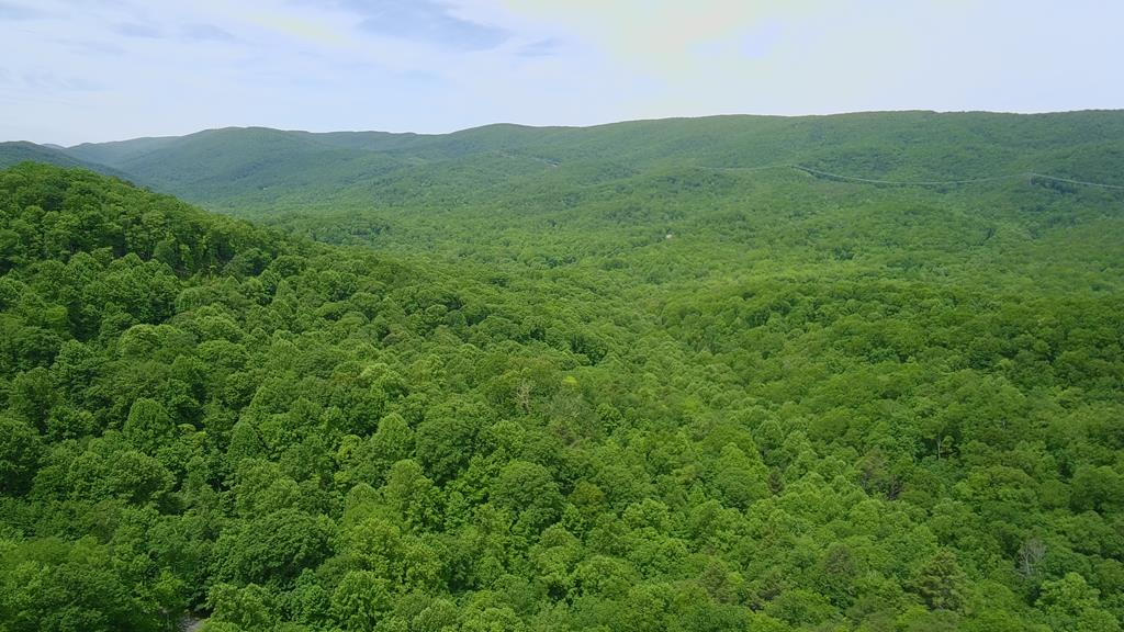 Lot 15 Cove Creek Property Photo 1