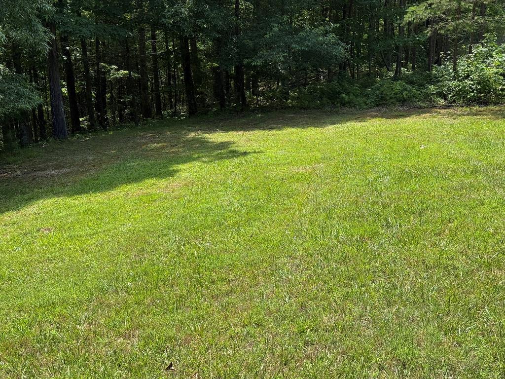 Lot 43 New River Oaks Property Photo 1