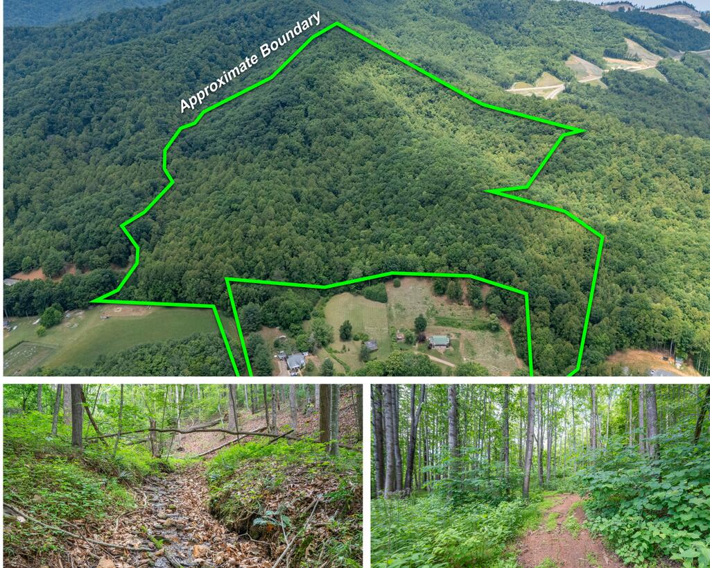 72 Acres Trot Valley Rd Property Photo 1