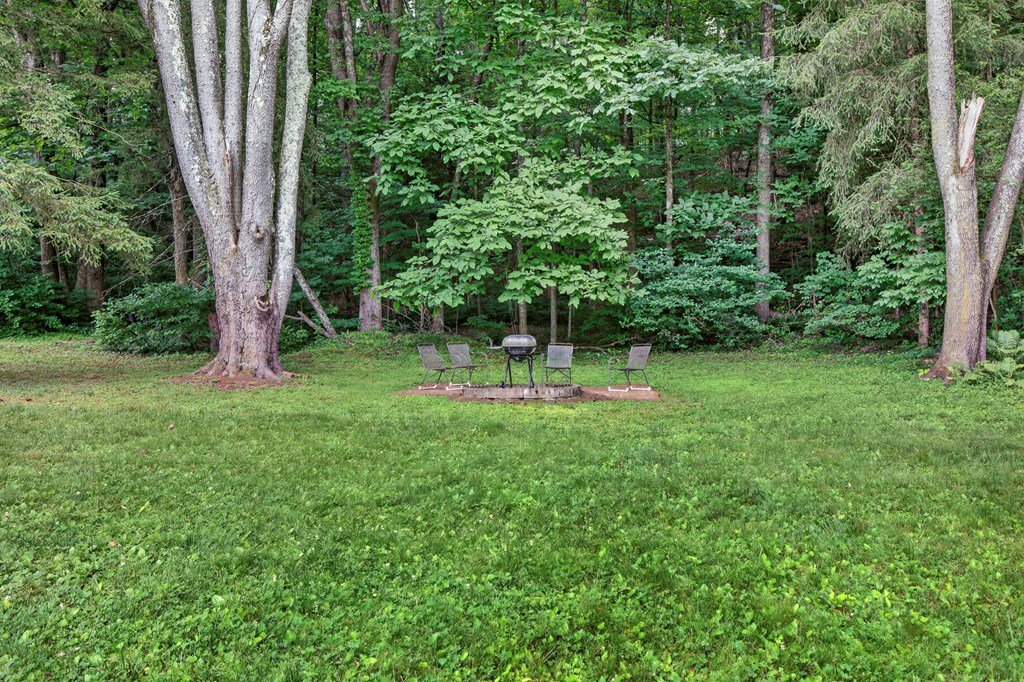 175 Georgia St. Property Photo 36