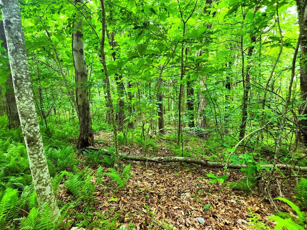 TBD Glen Burn Ln