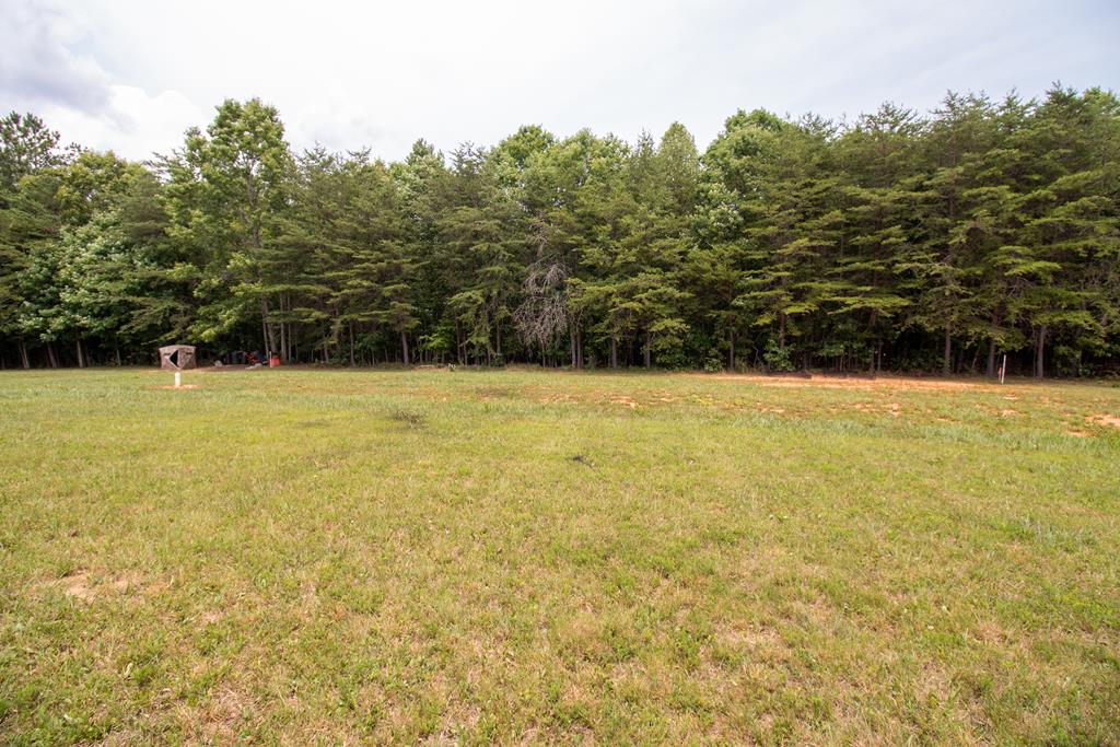 607 Willow Green Ln Property Photo 22