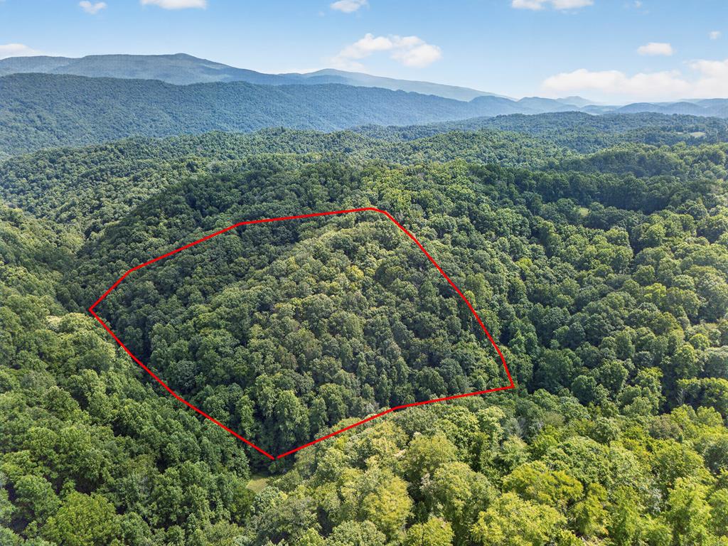 Tbd Earth Road Property Photo 1
