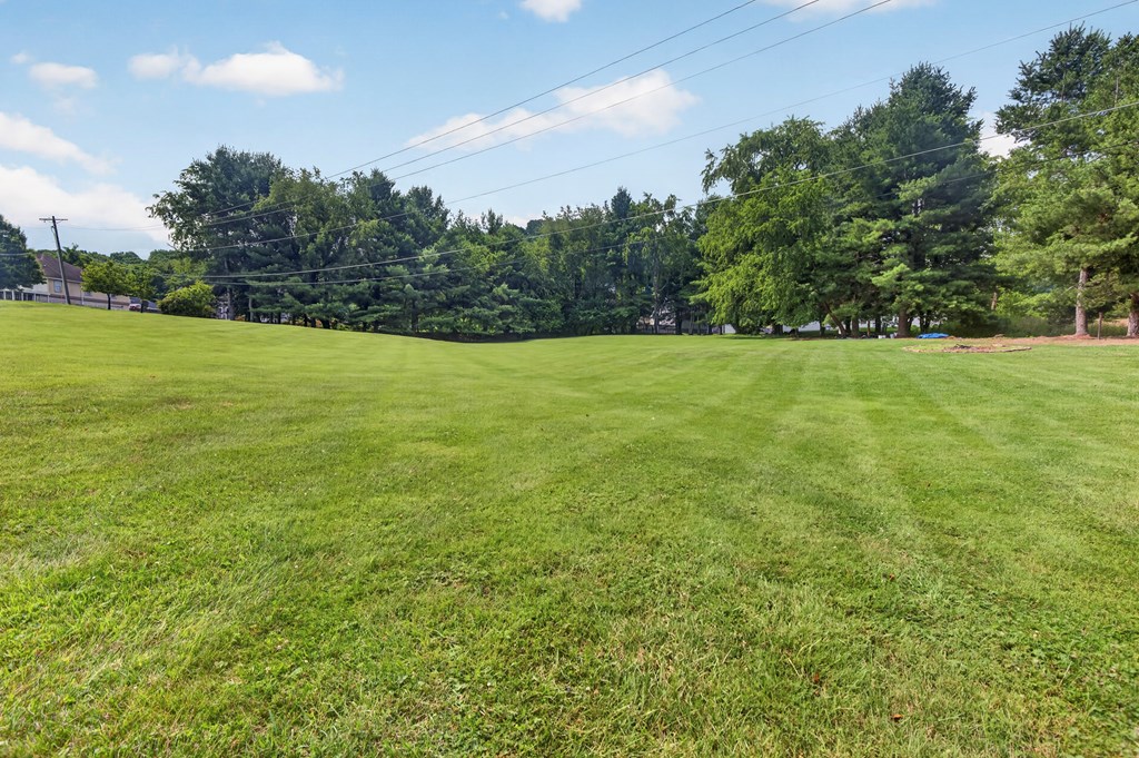 20274 Vances Mill Property Photo 67