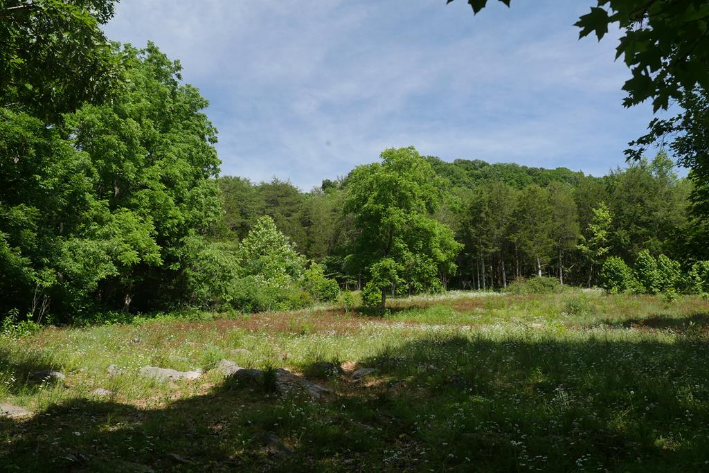 Tbd Saratoga Lane Property Photo 1
