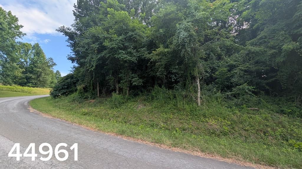 Tbd Village Loop Property Photo 1