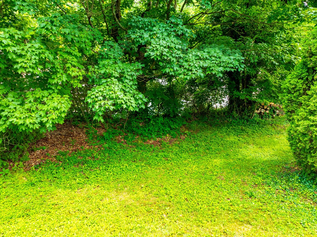 Tbd West Main St Property Photo 7