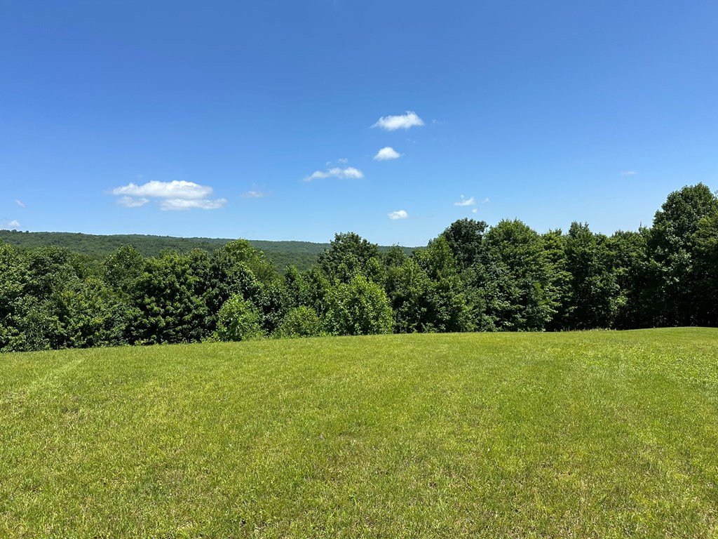 348 Coal Pit Branch Drive Property Photo 9