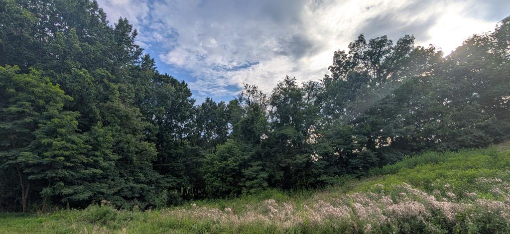 Tbd Village Loop Property Photo 1