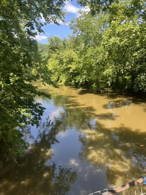 Tbd North Fork River Rd Property Photo 1