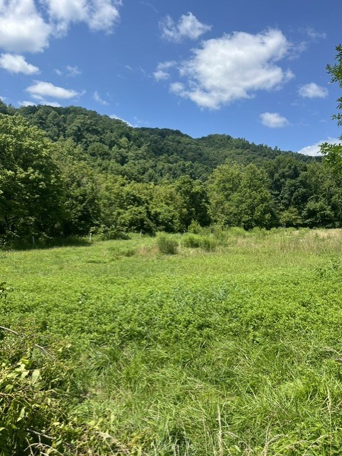 Tbd North Fork River Rd Property Photo 2