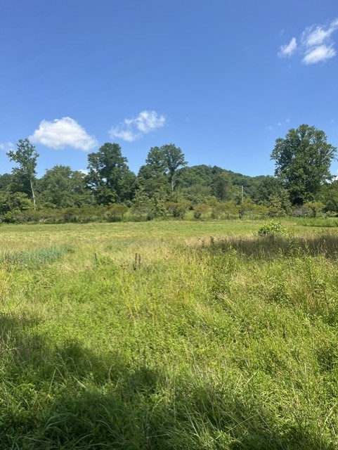 Tbd North Fork River Rd Property Photo 3