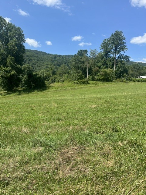 Tbd North Fork River Rd Property Photo 5