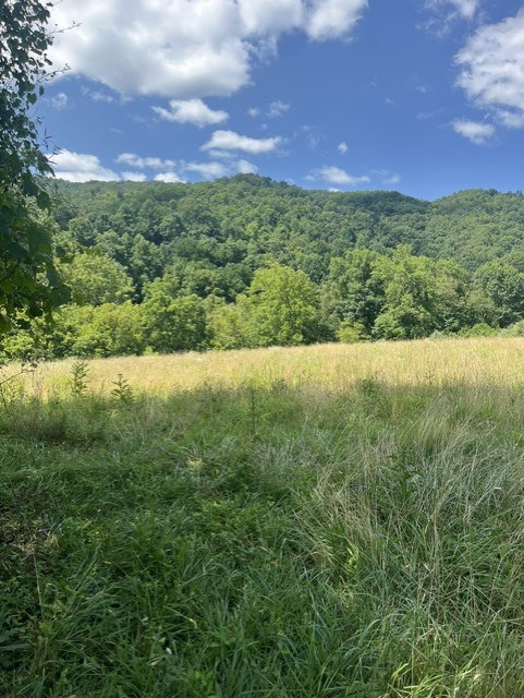 Tbd North Fork River Rd Property Photo 6