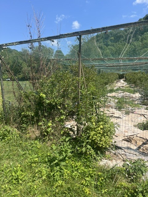 Tbd North Fork River Rd Property Photo 7