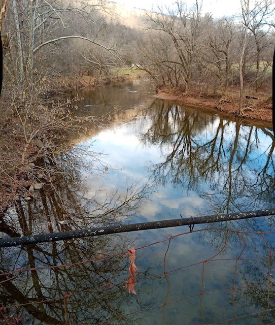 Tbd North Fork River Rd Property Photo 10