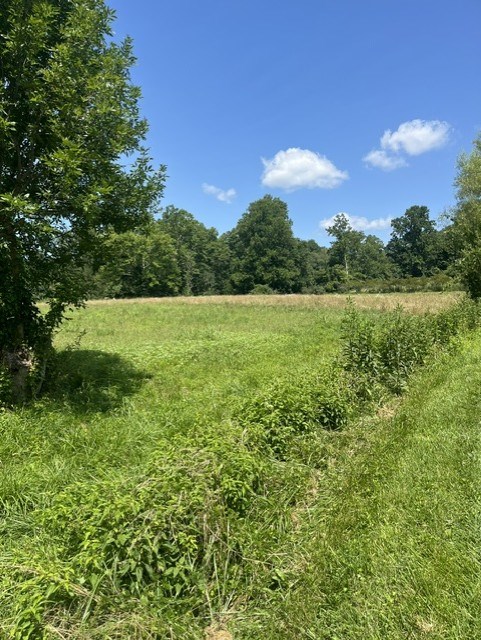 Tbd North Fork River Rd Property Photo 11