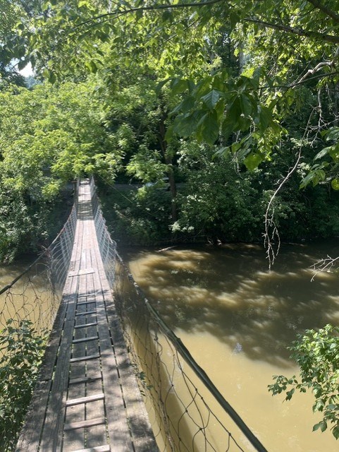 Tbd North Fork River Rd Property Photo 12