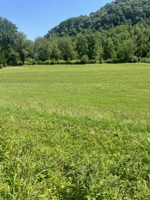 Tbd North Fork River Rd Property Photo 13