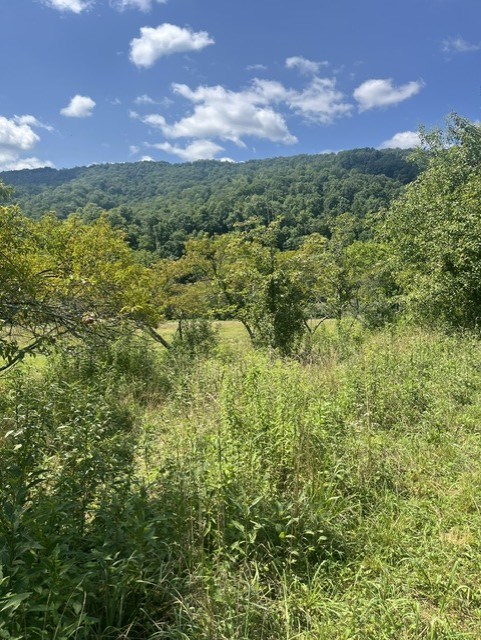 Tbd North Fork River Rd Property Photo 14