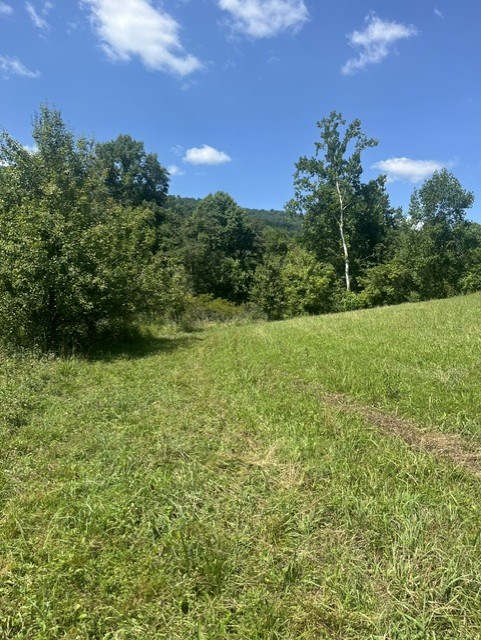 Tbd North Fork River Rd Property Photo 15