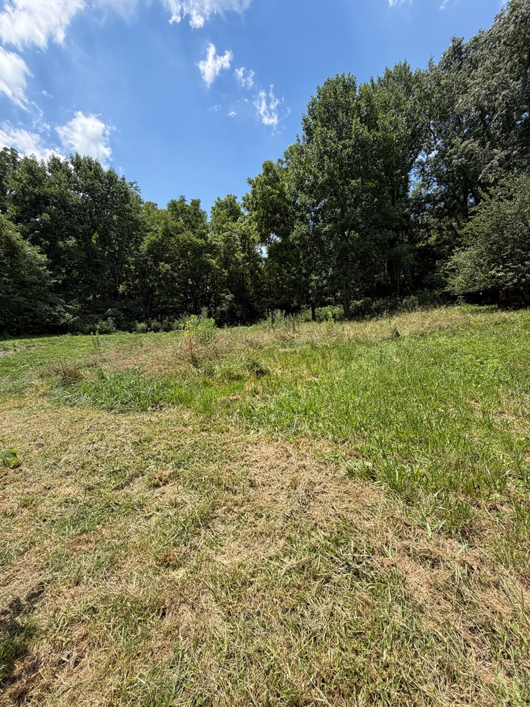 16248 Mill Creek Rd Property Photo 18