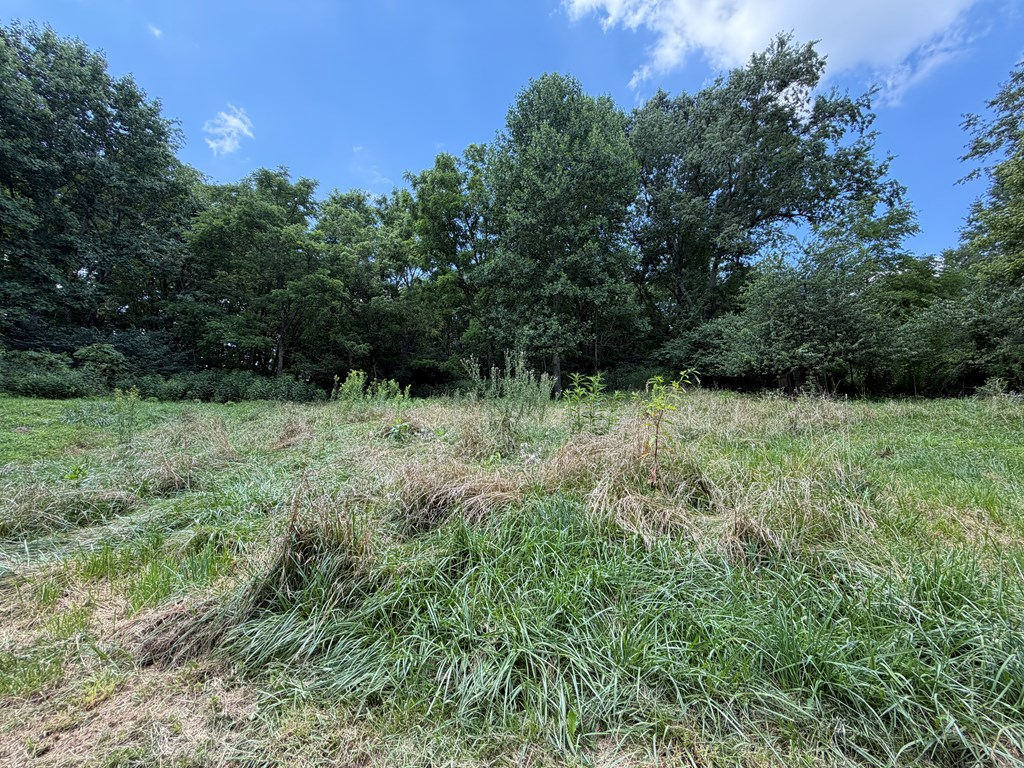 16248 Mill Creek Rd Property Photo 19