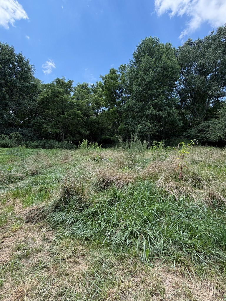 16248 Mill Creek Rd Property Photo 20
