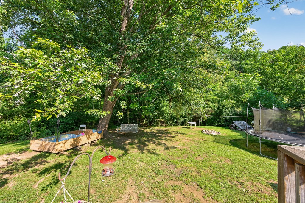 435 Lots Gap Rd Property Photo 20