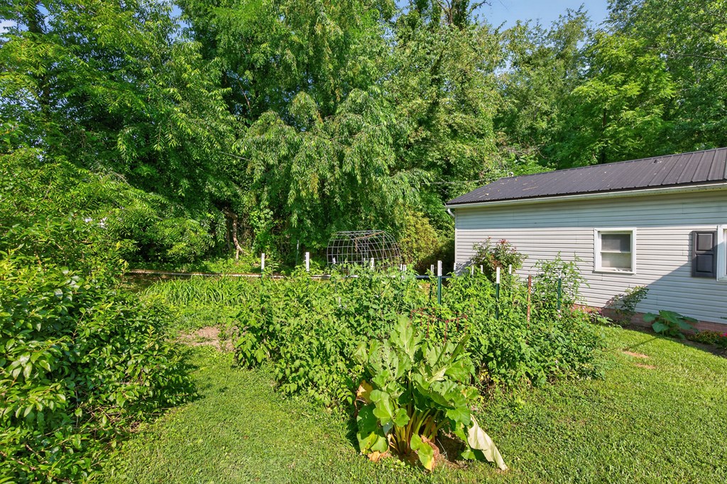 435 Lots Gap Rd Property Photo 41