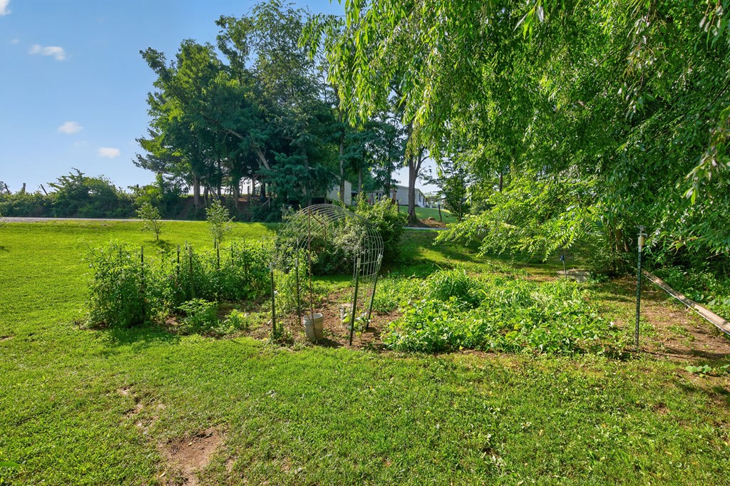 435 Lots Gap Rd Property Photo 42